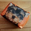 Yorkshire Terrier Small Bag (Catseye)
